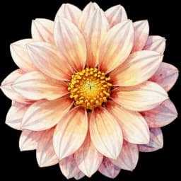 dahlia flower in a digital bouquet