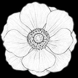 anemone flower in a digital bouquet