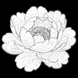 peony flower in a digital bouquet