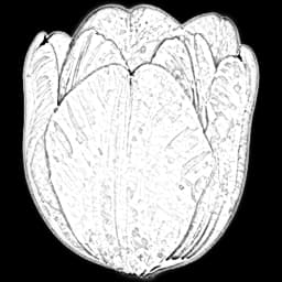 tulip flower in a digital bouquet